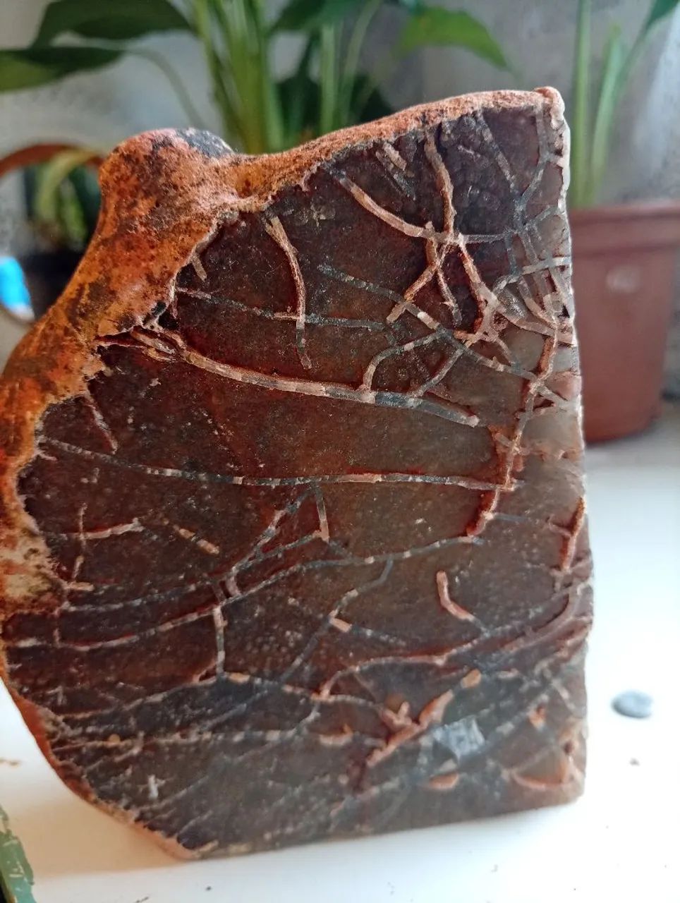 Ágata calcedônia azul mineral colecionável  - Foto 5