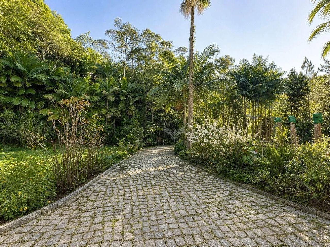 Sitio com casa boa, lagoa em muita natureza - Foto 2