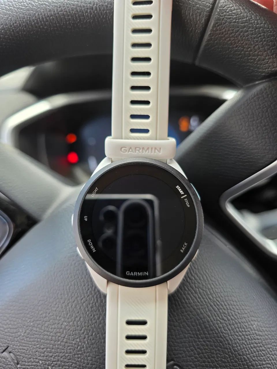 Garmin 165