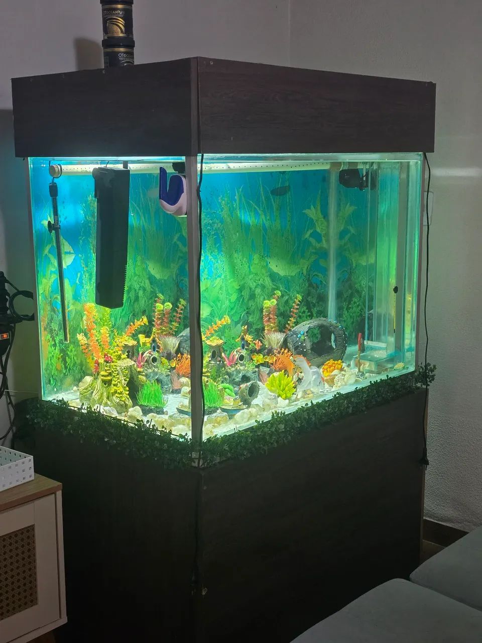Aquário 800 litros com sump
