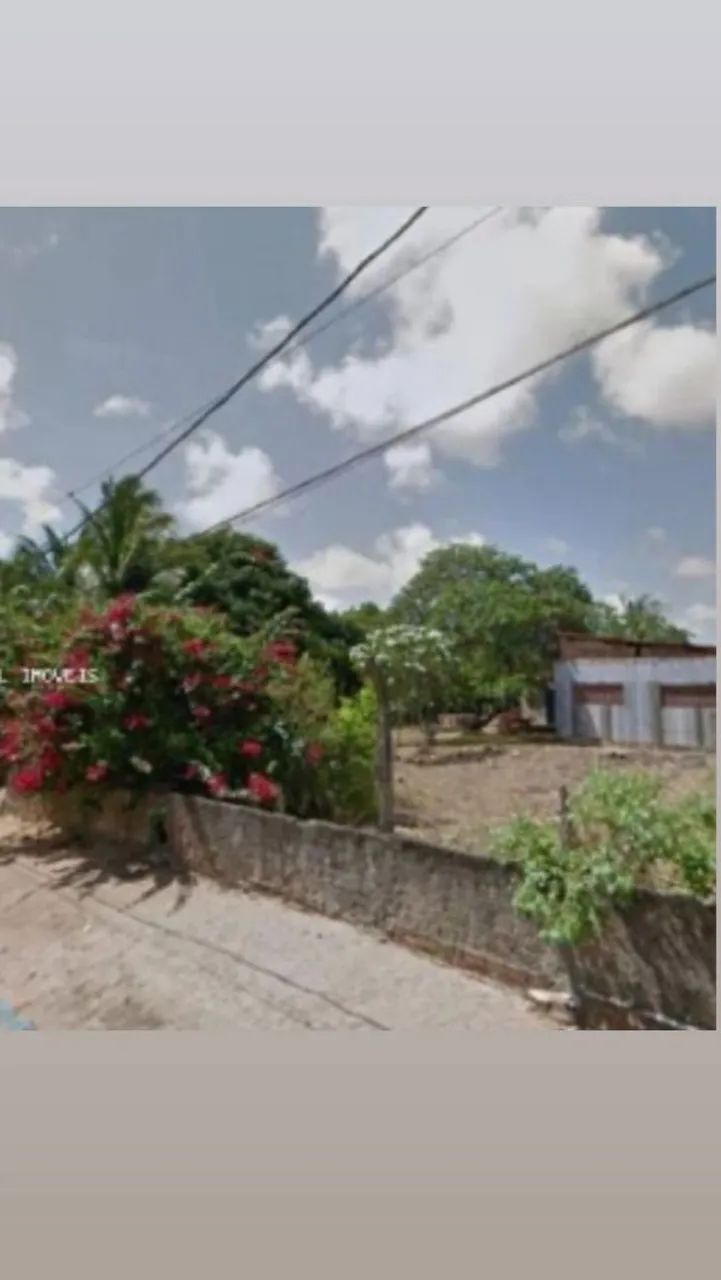 Terreno  - Foto 4