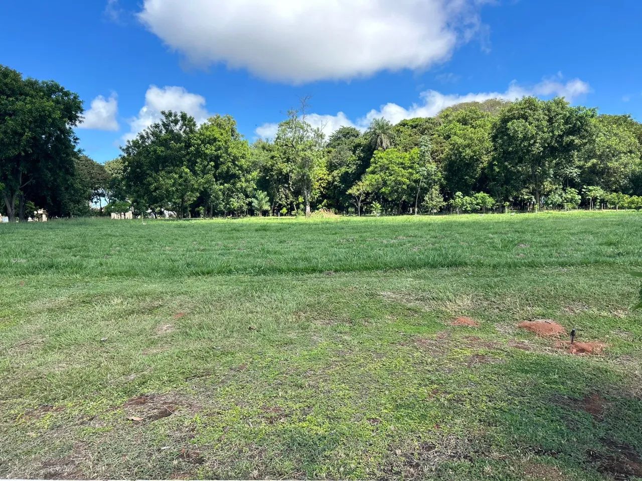 Melhor Lote Quinta do Ipê - Foto 5