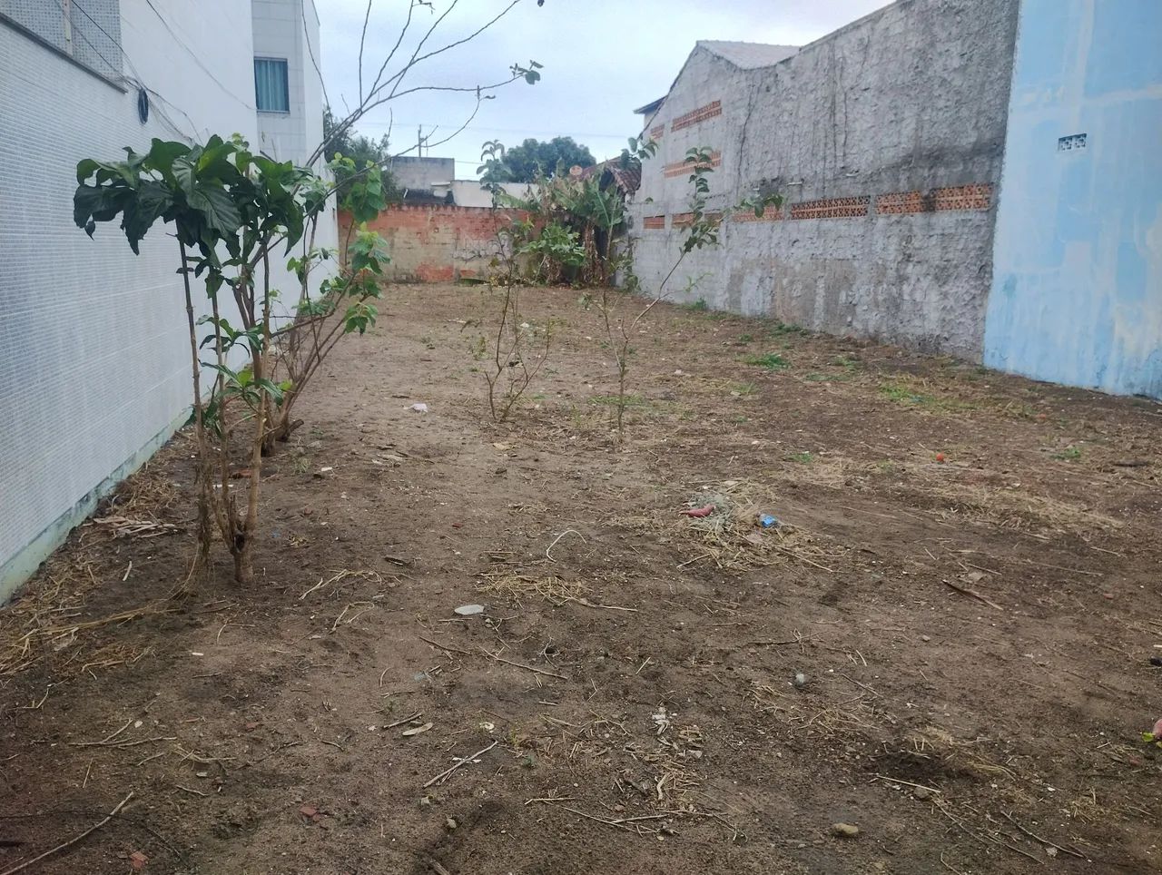 Vendo Terreno Bairro Piteiras - Foto 3