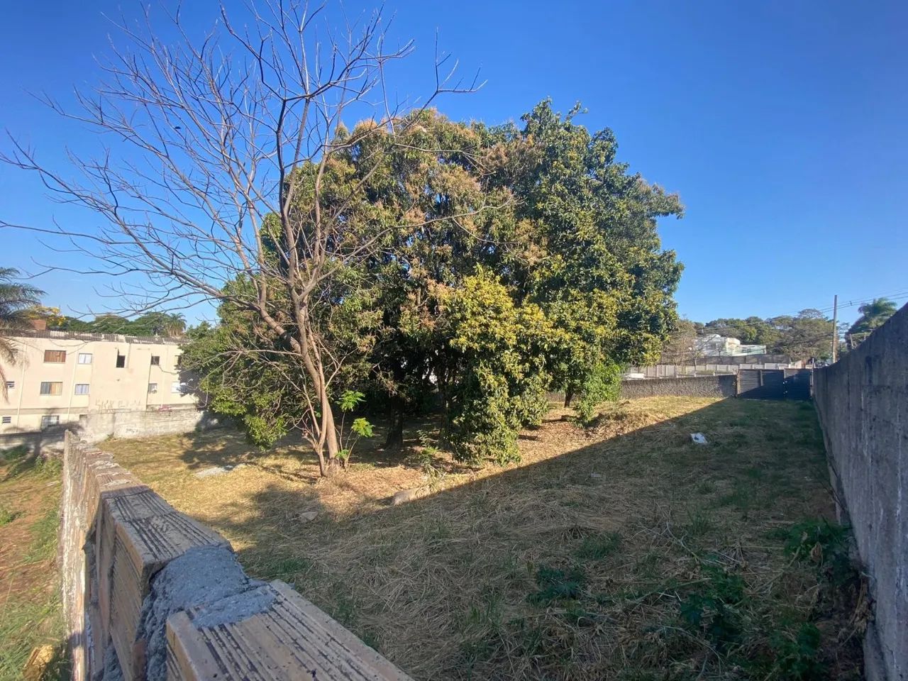 LOTE DE 2.000 M² NO BAIRRO TREVO - Foto 3