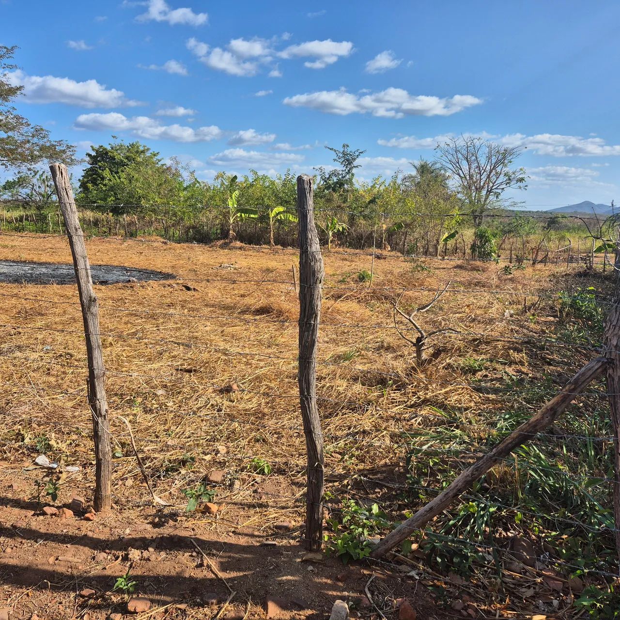 TERRENO 3 LOTES - 900m2 NA CE060 - Foto 4