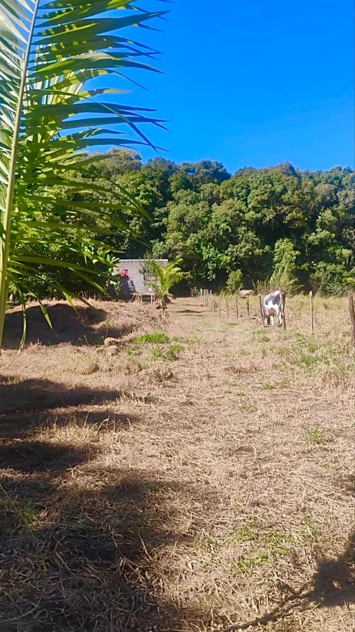 Vendo Chácara Ótima oportunidade  - Foto 2
