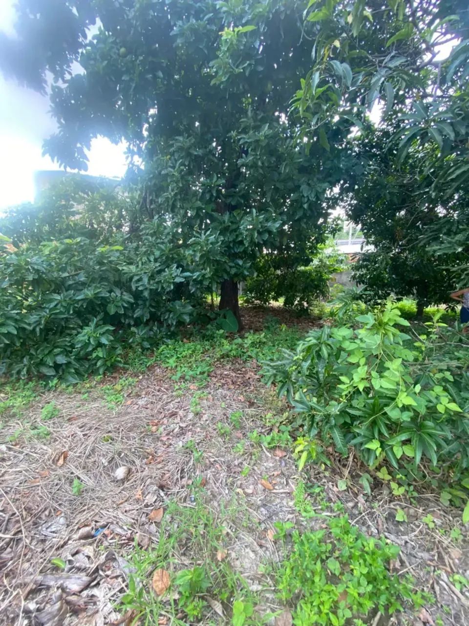 Lote de Oportunidade no Copacabana - Foto 3