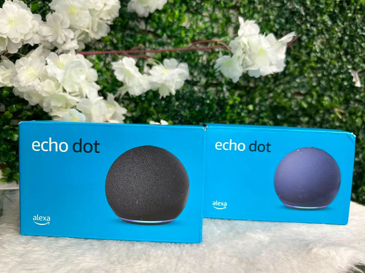 ALE  ECHO DOT 5GEN