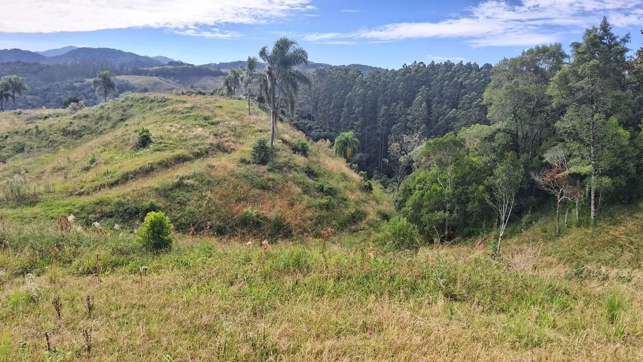 Área de 13 hectares apenas R$565.000,00 em Anitápolis-SC  - Foto 3