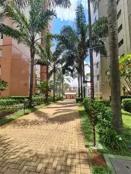 Apartamento para venda em Aclimação com 3 quartos, 86m² - Foto 2