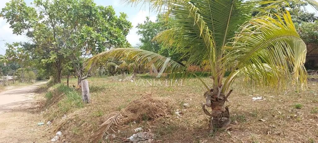 Terreno em Califórnia - Salinópolis, PA - Foto 5
