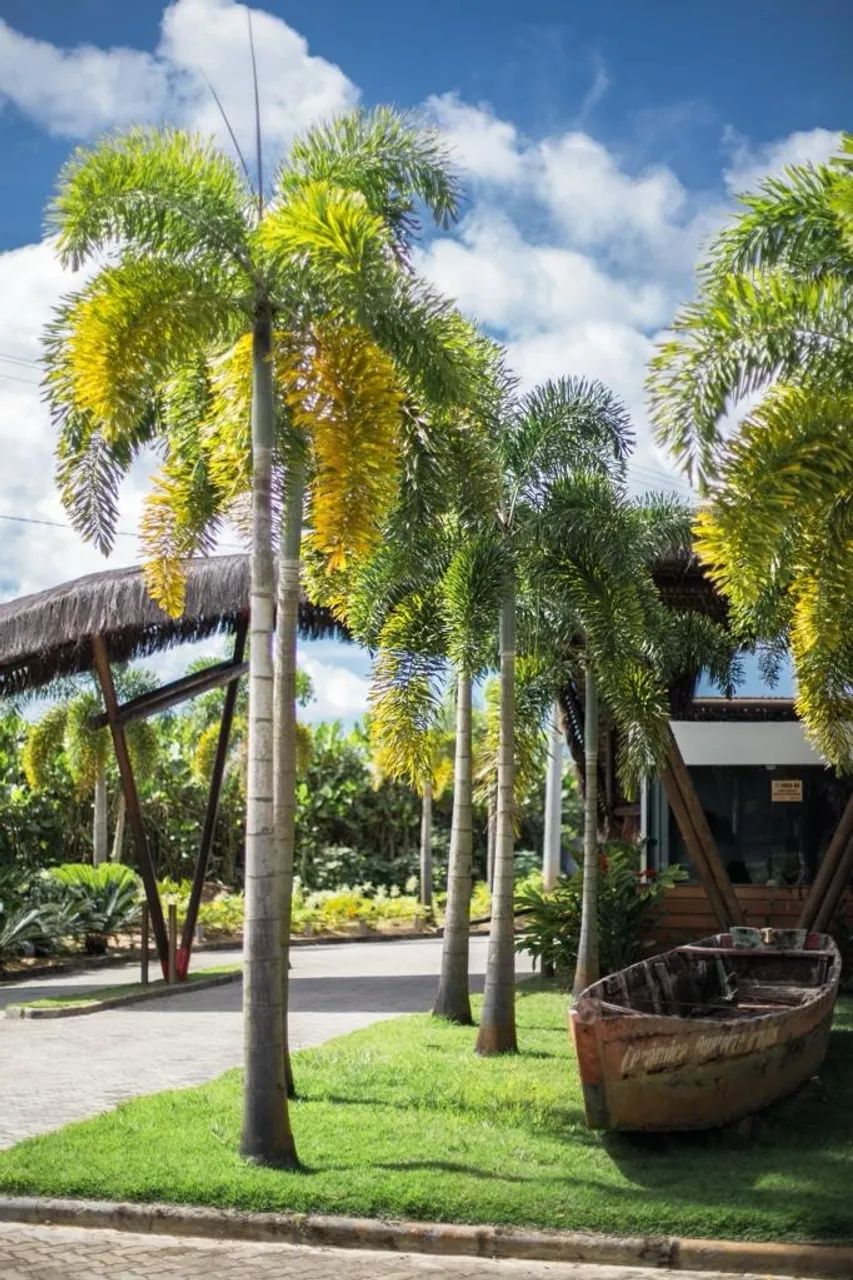 EXCELENTO LOTE NO Condominio Belmonte Bahia Beach - Foto 3