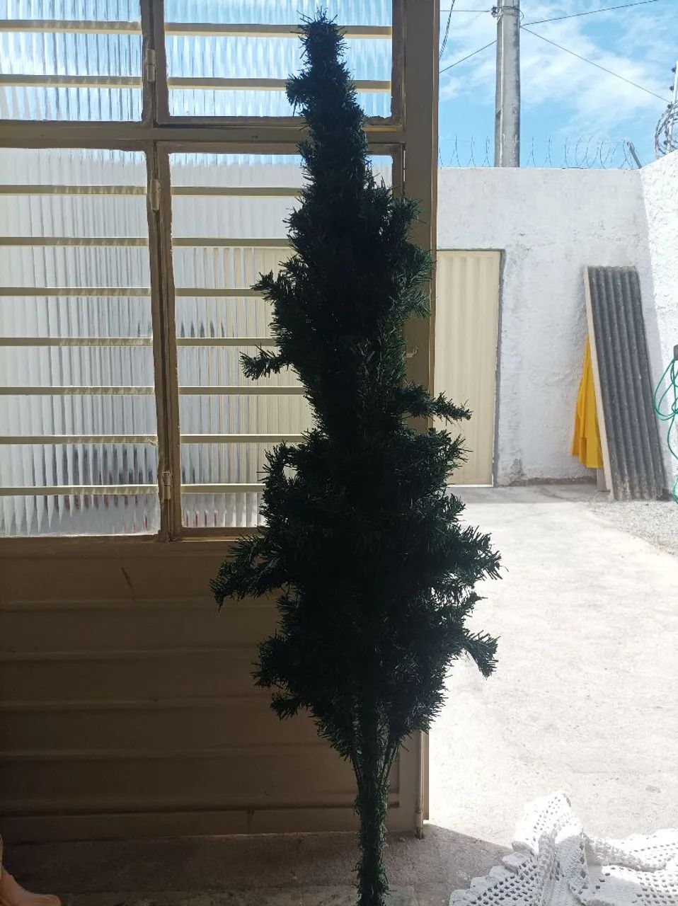 Árvore de natal 