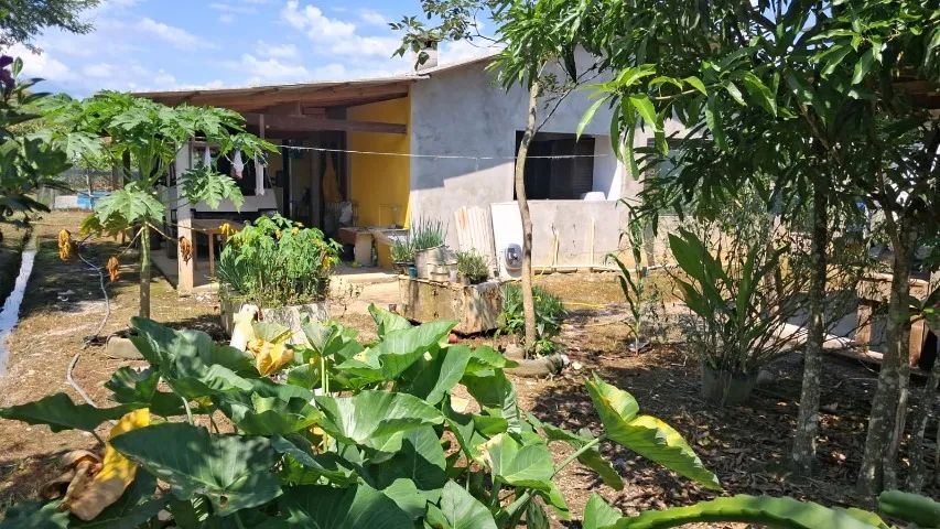 chacara em Antonia litoral  - Foto 5