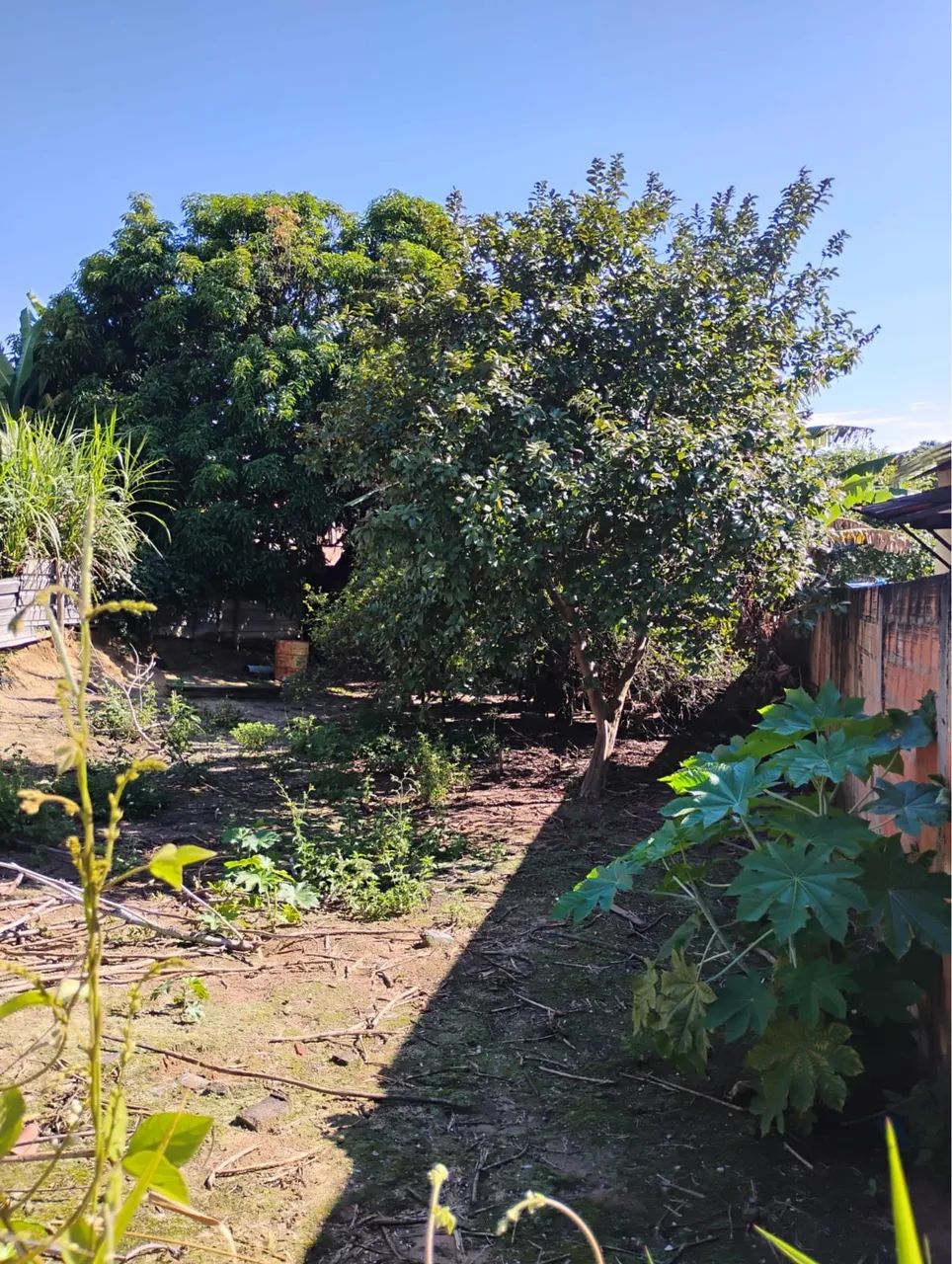 Lote - Foto 3