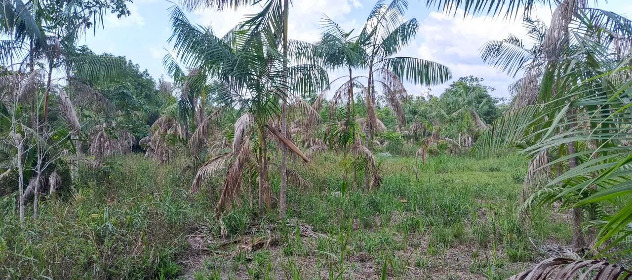 Terreno documentado em Abaetetuba  - Foto 4