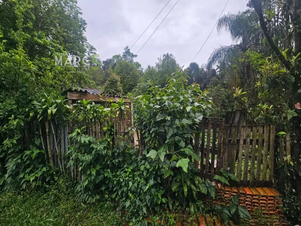 Venda - AREA - CIDADE NOVA ARUJA Aruja SP - Foto 4