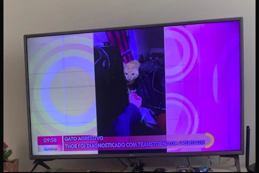 Tv smart 43? 4k Bluetooth YouTube Netflix - Foto 2
