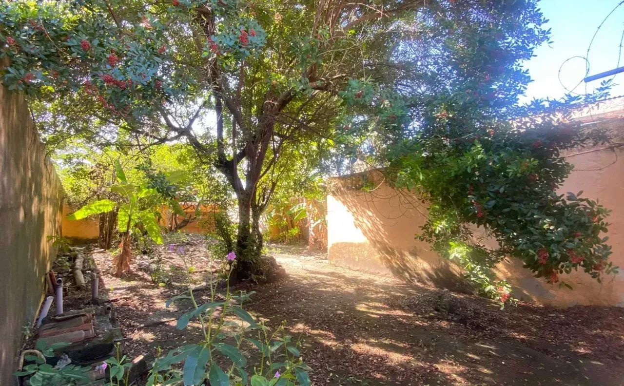 Terreno 330m² no Califórnia  Perto da Dutra e do Assaí - Foto 5