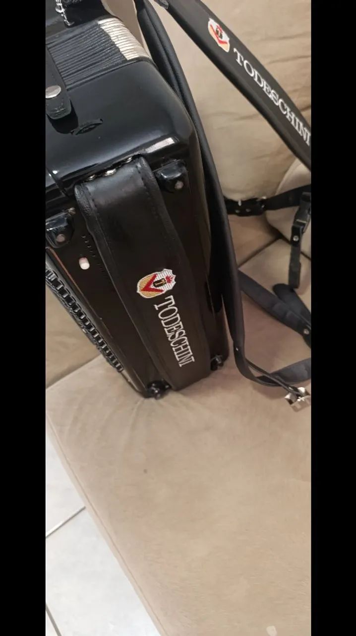 Sanfona, acordeon  - Foto 2