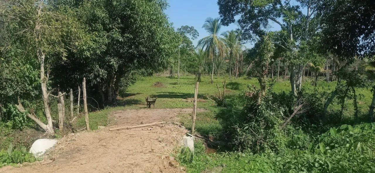 Sitio á venda, com 5 tarefas 