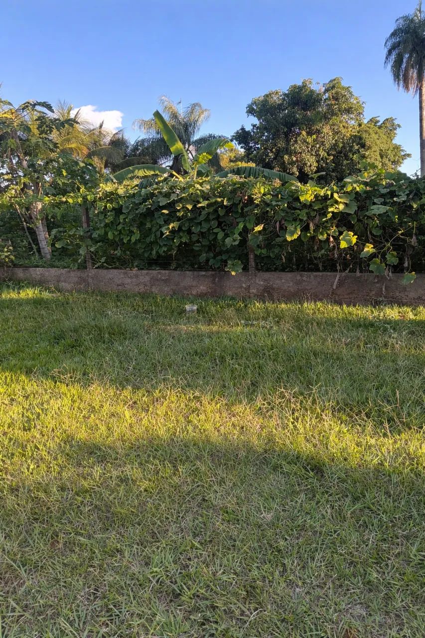 TERRENO UMA QUADRA DA GURY MARQUES - Foto 3