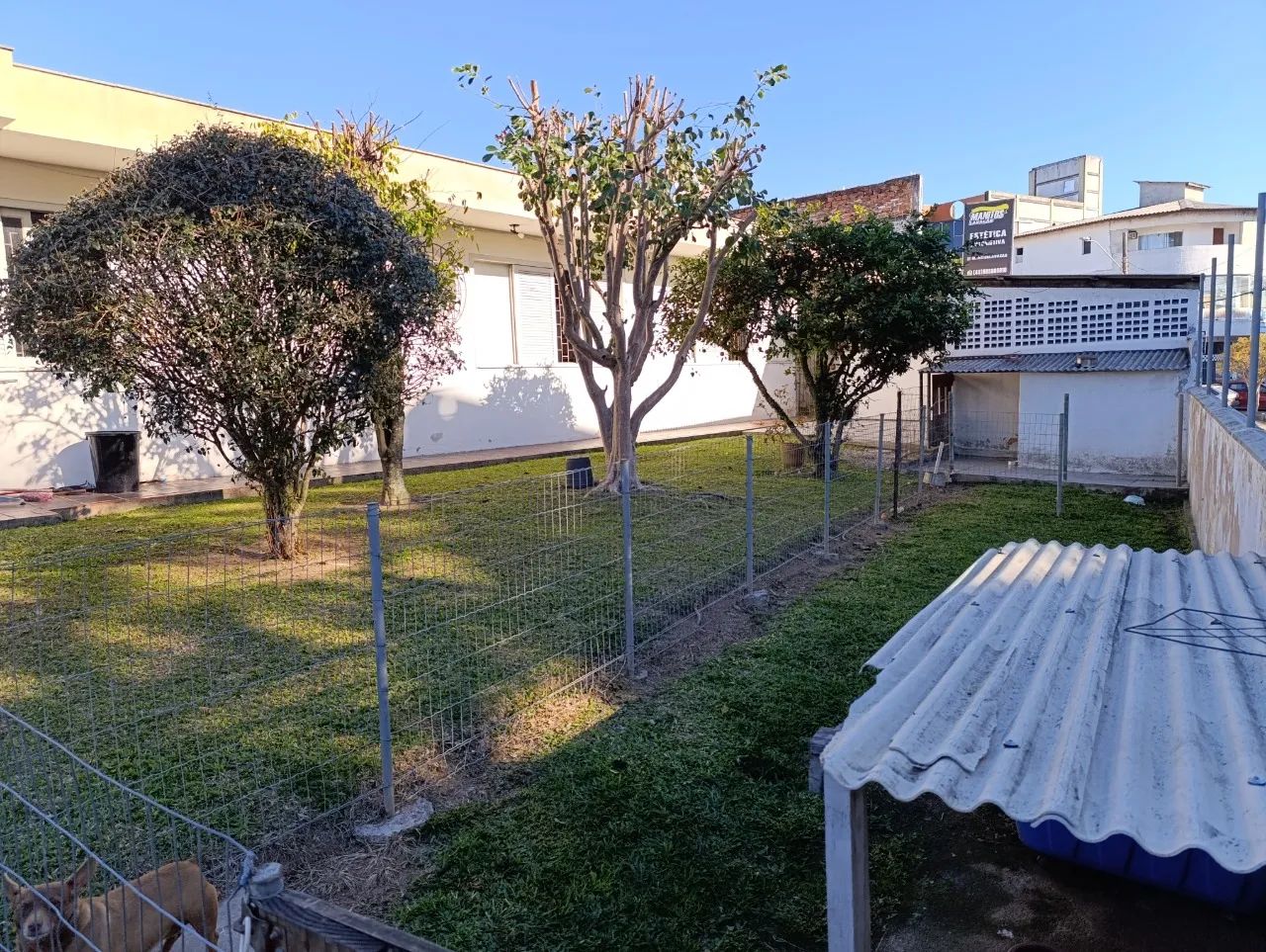 Casa de 4 dormitórios à venda em Capoeiras - Foto 5