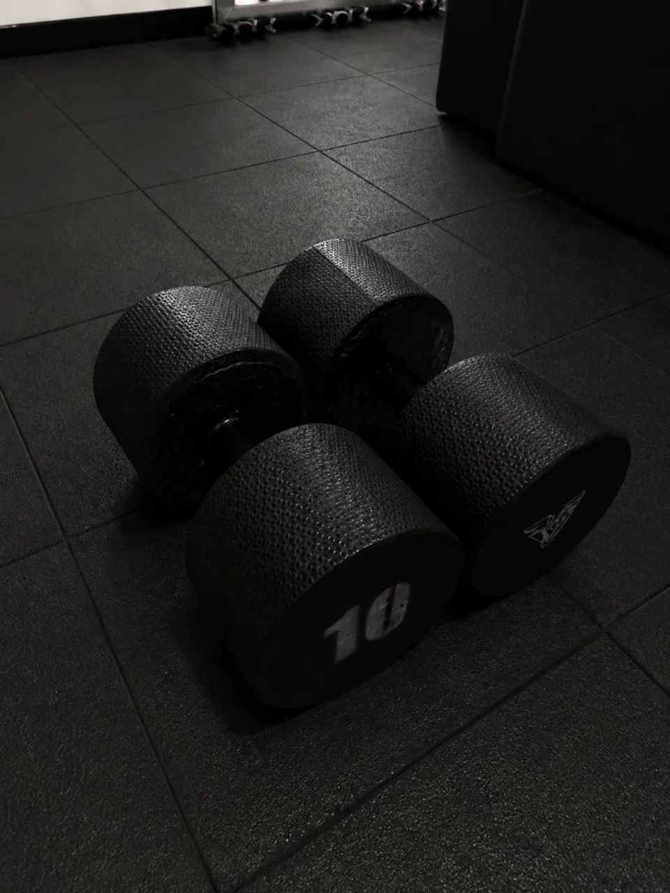 Halteres de 10kg 