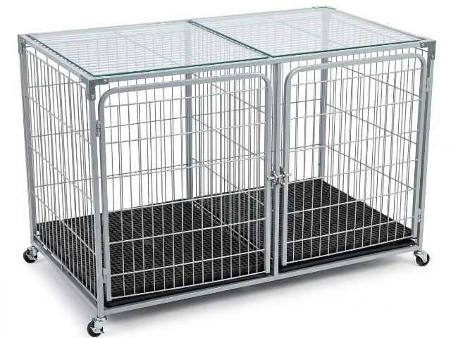 Kit Pet Shop Profissional Completo - Kyklos / O3 Pet - 2 Anos de Uso - Foto 6