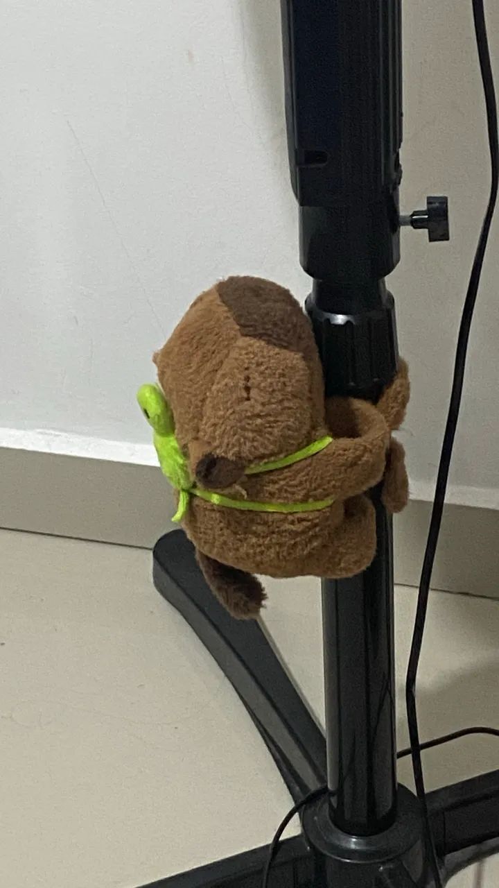 Capivara que gruda