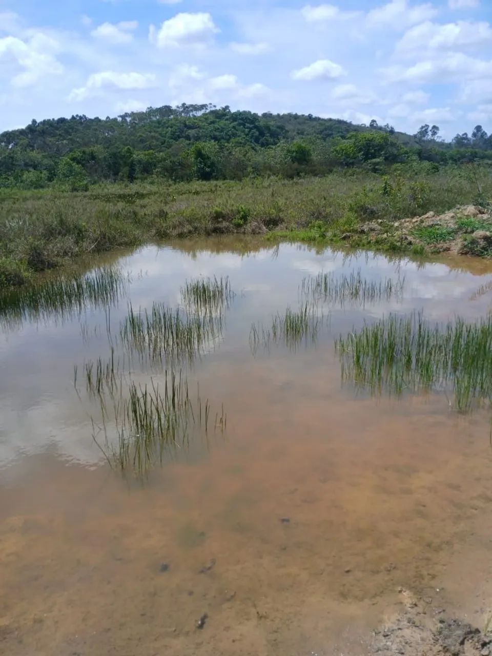 Vendo terreno em Oliveira/MG - Foto 4