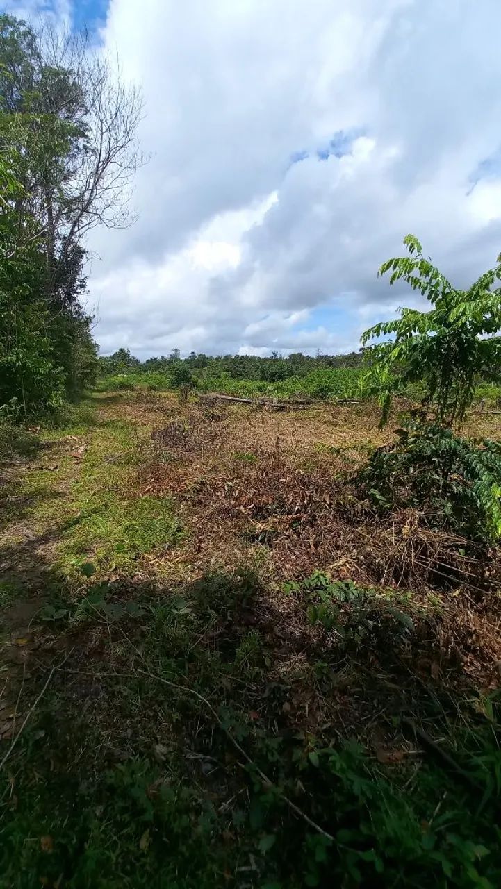 Vendo Terreno com 35 hectares - Foto 3