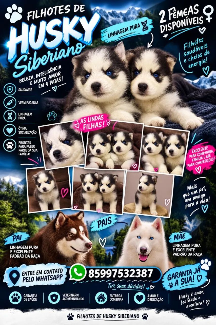 Husky siberiano