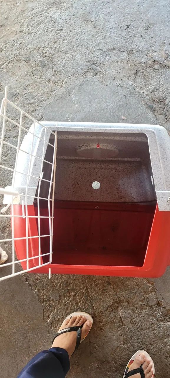 CAIXA DE TRANSPORTE DE CACHORRO  - Foto 4