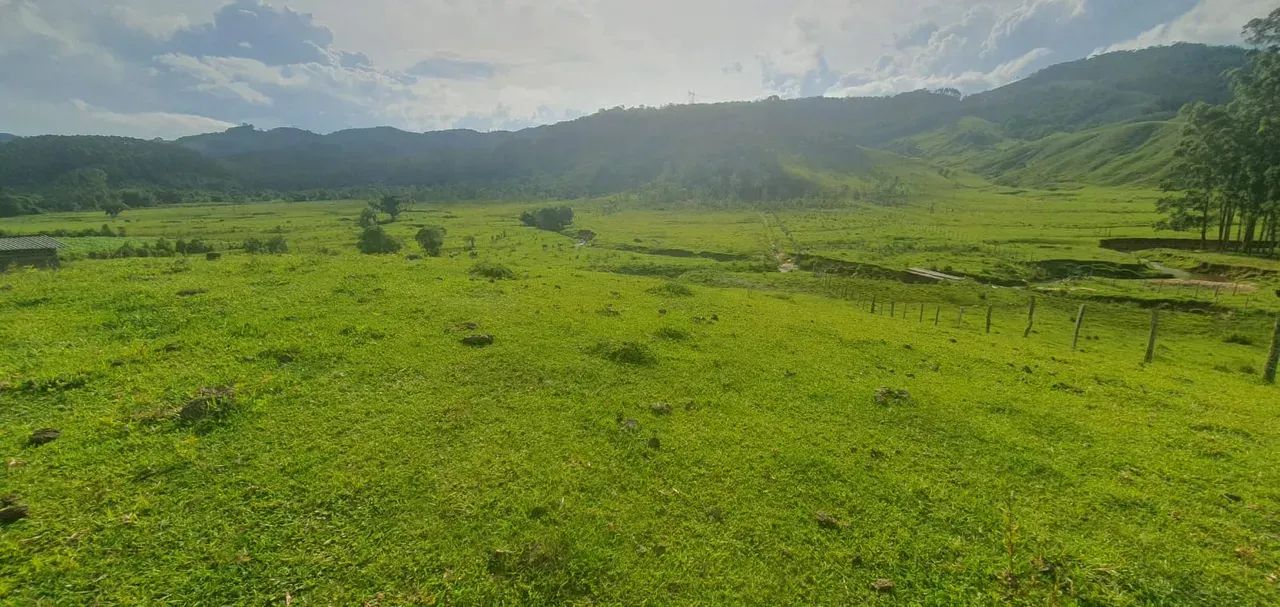 Sitio em Águas Mornas - SC - Foto 5