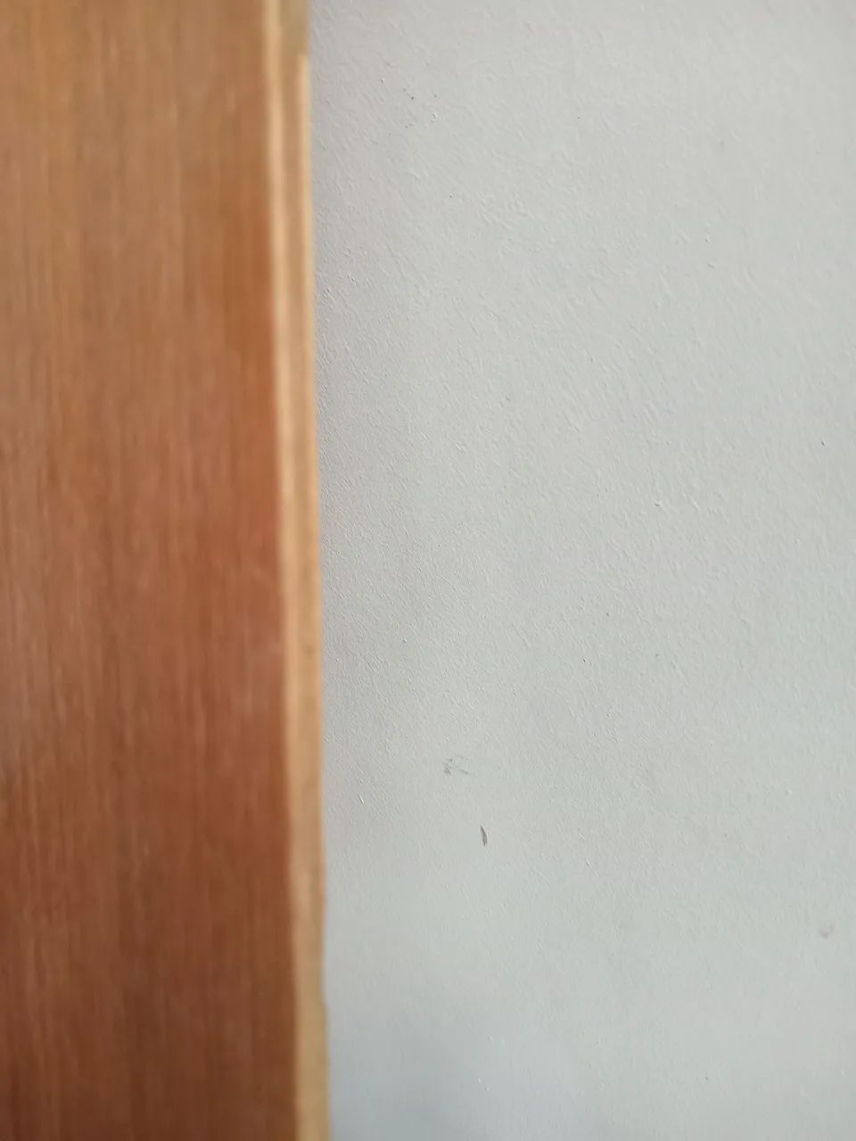 Painel - Foto 2