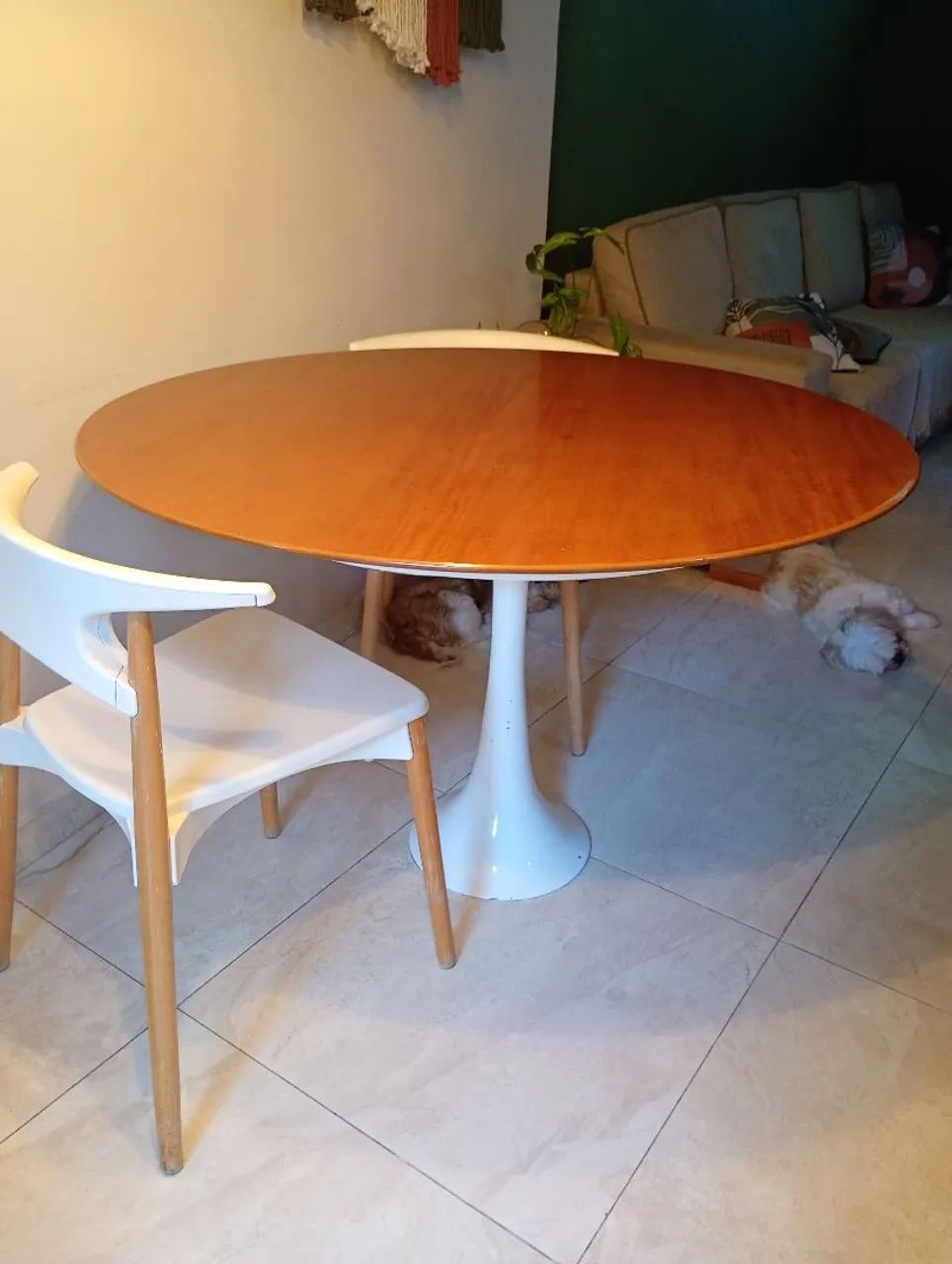 Mesa Saarinen  - Foto 3