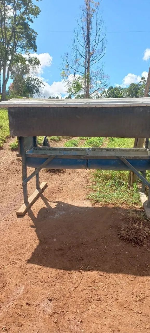 FAZENDA A VENDA  - Foto 4