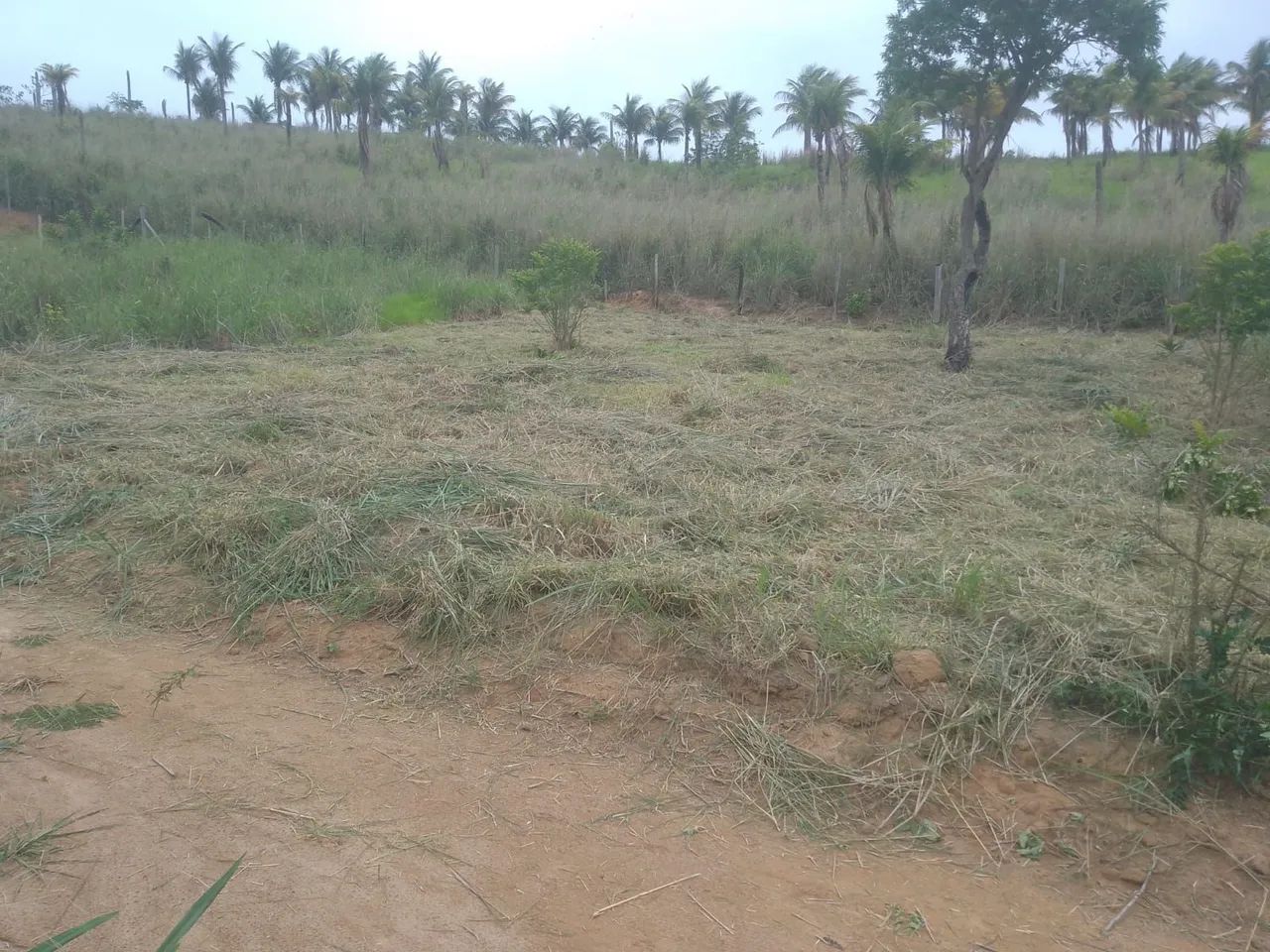 Lote - Terreno - Marataizes-ES- Praia - Foto 3