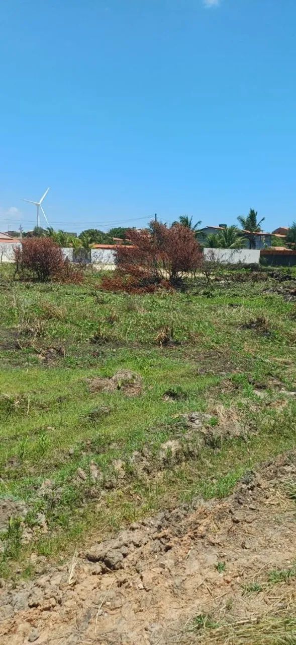 Terreno taiba - Foto 2