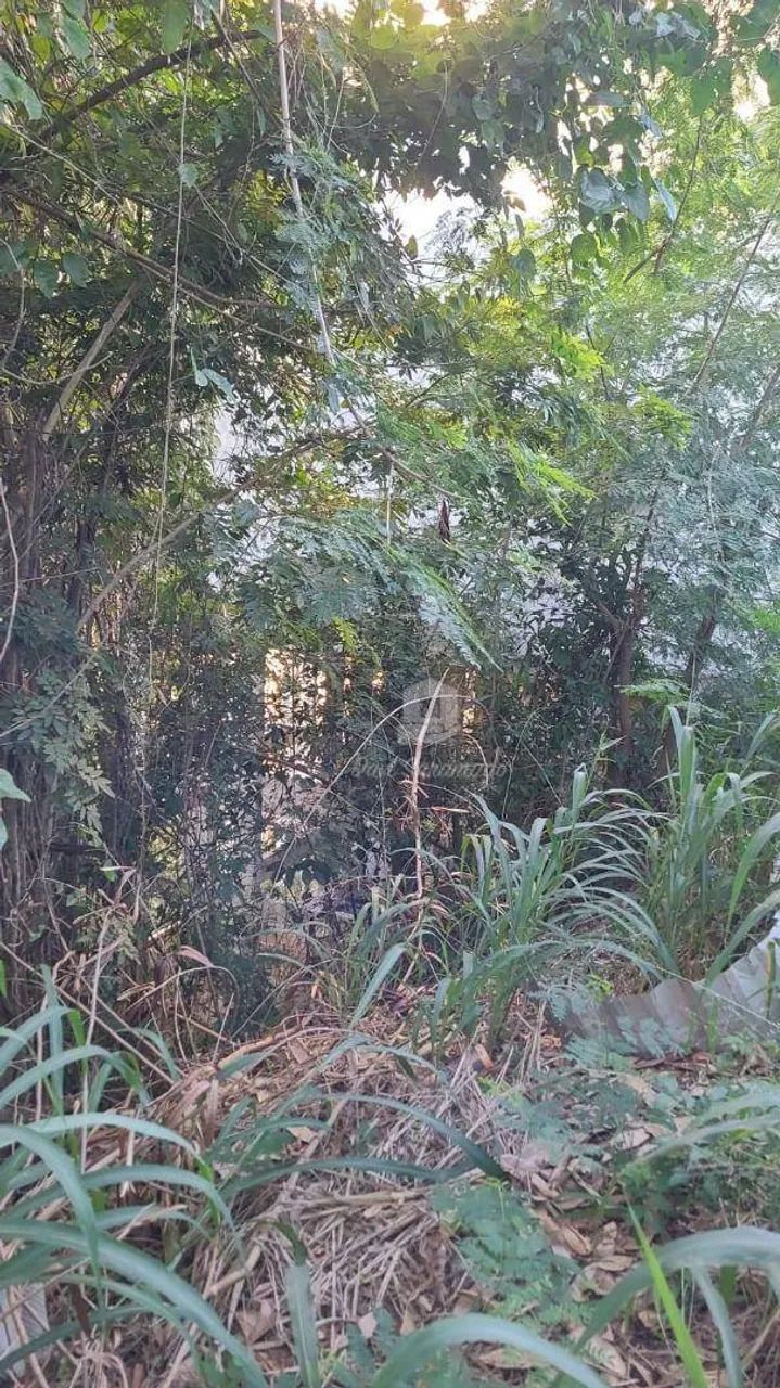 Terreno a Venda Maria Paula