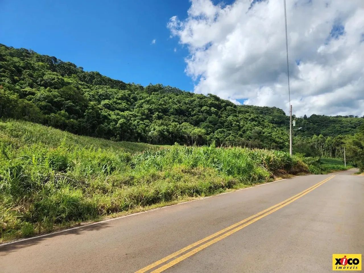 Sítio / Chácara para Venda em Nova Petrópolis, Nove Colonias - Foto 6