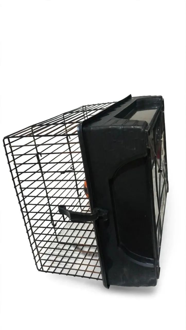 Gaiola hamster  - Foto 2