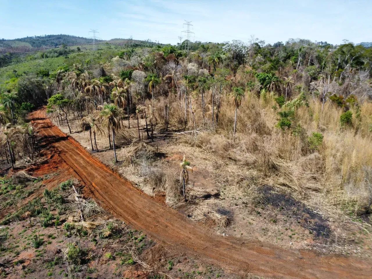 Terreno em Terra Preta com grande potencial! - Foto 2