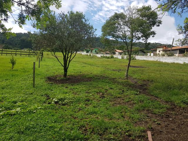 Lote em Urubici/chácara em Urubici - Foto 6