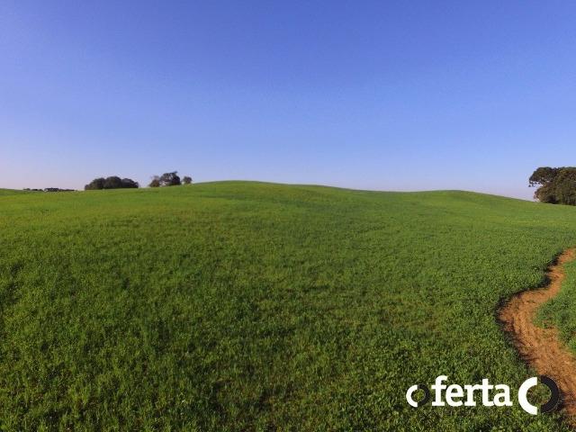 Chácara em Contenda - Foto 2