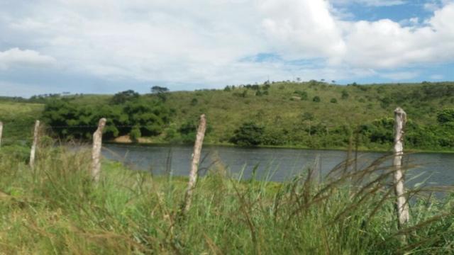 Propriedade com 2 casas de 13 hectares, em Sairé, 700 mil - Foto 3