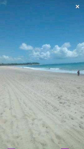 Grande Lote em Maracaipe- Oportunidade de investimento!! - Foto 3