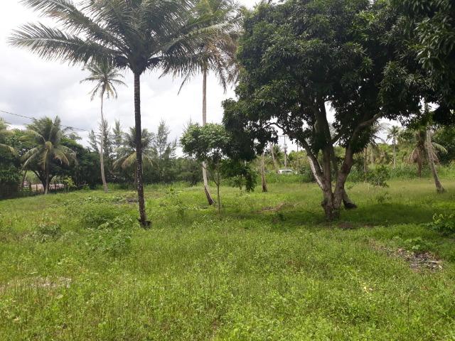 Oportunidade de Chácara, com 5,2 ha, há margem da RN 316, em Monte Alegre/RN - Foto 6