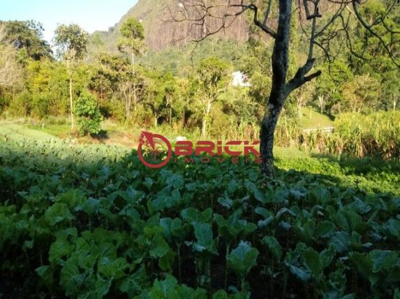 Sítio em teresópolis com cachoeira, nascente, terra para plantação e árvores frutíferas. - Foto 9